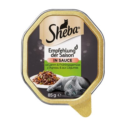 Bild von Sheba Empfehlung der Saison