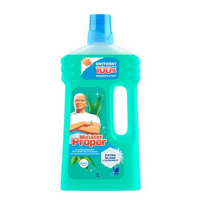 Bild von Meister Proper Frühlingserwachen Reiniger