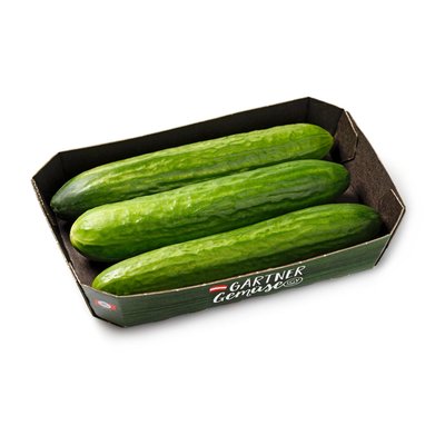 Bild von LGV Mini Gurken