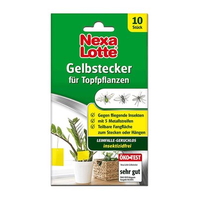 Bild von Nexa Lotte Gelbstecker